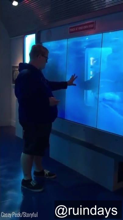 "Touch at your own risk!" Wait for it...😱😂