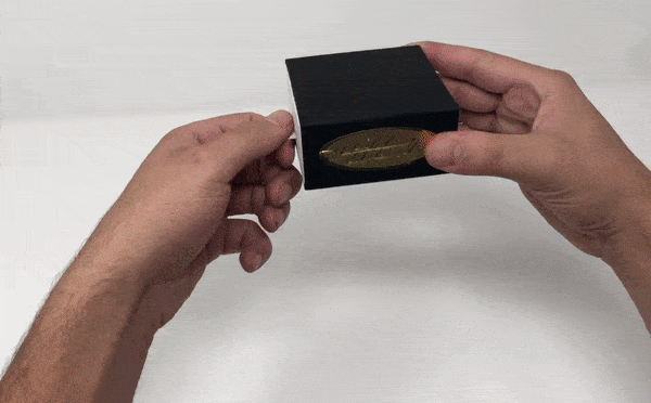 Box of Annoying Sand - Ruin Days